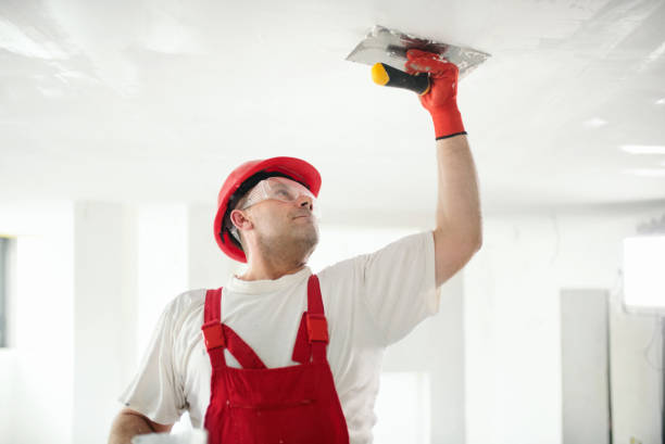 Best Drywall Sanding and Smoothing  in Olympia, WA